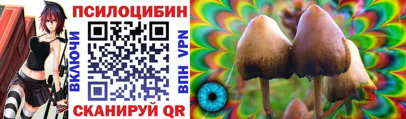 Галлюциногенные грибы мицелий  Купить  Порхов 